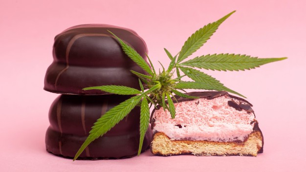 Tips to prepare cannabis edibles at dispensaries 
